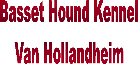 Basset Hound Kennel
Van Hollandheim
